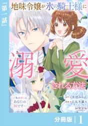 地味令嬢が氷の騎士様に溺愛される方法【分冊版】１