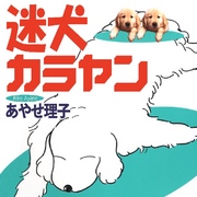 迷犬カラヤン