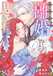 【期間限定　無料お試し版】だから、離婚しようと思います