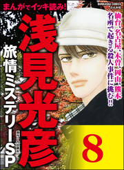 浅見光彦ミステリーSP（分冊版）　【第8話】