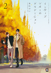 ブルースカイコンプレックス番外編　インディゴブルーのグラデーション 2