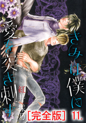 きみは僕に愛を突き刺す【完全版】　11