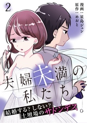 夫婦未満の私たち～結婚する？しない？土壇場のサドンデス２