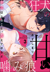 狂犬の甘い噛み痕 キス以上のこと、教えてやるよ（分冊版）　【第3話】