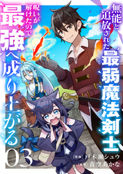 無能と追放された最弱魔法剣士、呪いが解けたので最強へ成り上がる３