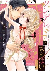 ツンデレヤクザとちっぱいちゃん コワモテ極道の溺愛飼育【かきおろし漫画付】　（2）