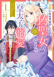 王妃になる予定でしたが、偽聖女の汚名を着せられたので逃亡したら、皇太子に溺愛されました。そちらもどうぞお幸せに。（コミック） 分冊版 11