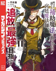 味方が弱すぎて補助魔法に徹していた宮廷魔法師、追放されて最強を目指す（１１）