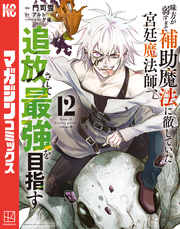 味方が弱すぎて補助魔法に徹していた宮廷魔法師、追放されて最強を目指す（１２）