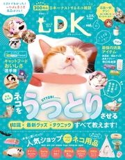 晋遊舎ムック　ネコDK vol.6