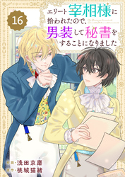 Berry’sFantasyエリート宰相様に拾われたので、男装して秘書をすることになりました16巻