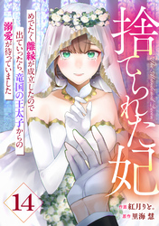 Berry’sFantasy捨てられた妃　めでたく離縁が成立したので出ていったら、竜国の王太子からの溺愛が待っていました14巻