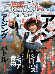 ルアーマガジンソルト2017年1月号