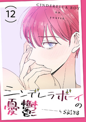 シンデレラボーイの憂鬱１２