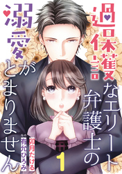 過保護なエリート弁護士の溺愛がとまりません【分冊版】