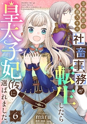 万能魔法の事務スキル～社畜事務が転生したら皇太子妃（仮）に選ばれました。(6)