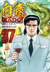 白竜ＨＡＤＯＵ 37