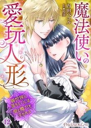 魔法使いの愛玩人形　異世界に落ちたOLは愛と魔力を注がれる 12