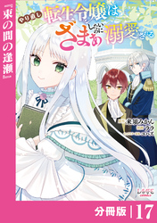 やり直し転生令嬢はざまぁしたいのに溺愛される【分冊版】 (ラワーレコミックス)17