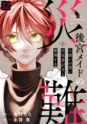 後宮メイドの災難～人使いの荒い宮廷書記官と推理する～(12)