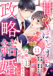 comic Berry’s甘くほどける政略結婚～大嫌いな人は愛したがりの許婚でした～11巻