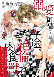 【スパイシーレディ】溺愛御曹司は一途、絶倫、肉食獣～ご主人様が毎晩寝かせてくれません！～ (3)