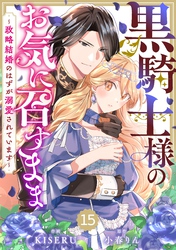 Berry’sFantasy黒騎士様のお気に召すまま～政略結婚のはずが溺愛されています～15巻