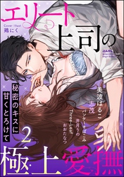 エリート上司の極上愛撫 秘密のキスに甘くとろけて　（2）