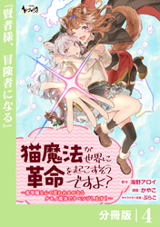 猫魔法が世界に革命を起こすそうですよ？【分冊版】（ノヴァコミックス）４