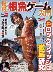 爆釣根魚ゲーム入門