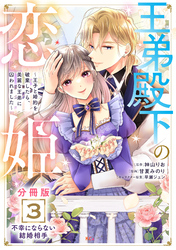 王弟殿下の恋姫　～王子と婚約を破棄したら、美麗な王弟に囚われました～　分冊版（３）