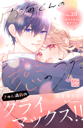 内海くんの恋のうた　プチデザ（２０）