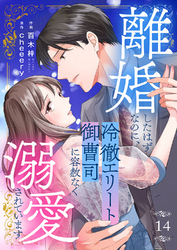 離婚したはずなのに、冷徹エリート御曹司に容赦なく溺愛されています１４