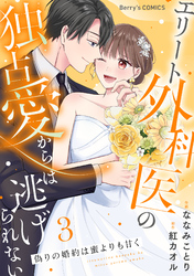 偽りの婚約は蜜よりも甘く~エリート外科医の独占愛からは逃げられない~3巻