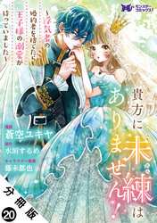 貴方に未練はありません！～浮気者の婚約者を捨てたら王子様の溺愛が待っていました～（コミック） 分冊版 20