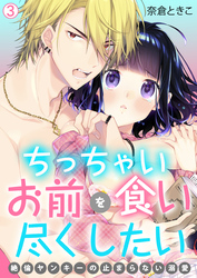 ちっちゃいお前を食い尽くしたい～絶倫ヤンキーの止まらない溺愛【再編集版】(3)