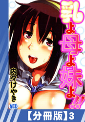 【分冊版】乳よ母よ妹よ！！（３）