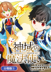 神域の魔法使い～神に愛された落第生は魔法学院へ通う～【分冊版】 3巻