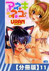 【分冊版】アネキネコ（１１）