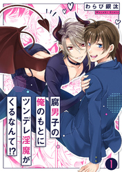 腐男子の俺のもとにツンデレ淫魔がくるなんて！？