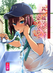 茜ハ摘マレ染メラレル