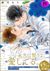 最高の小説家【極】【電子限定かきおろし漫画付】　3