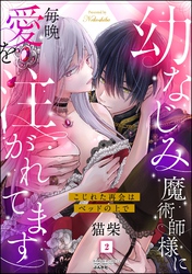 幼なじみ魔術師様に毎晩愛を注がれてます こじれた再会はベッドの上で　（2）
