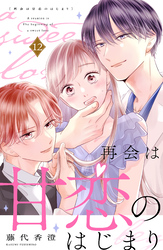 再会は甘恋のはじまり　分冊版（１２）