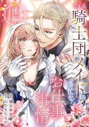 とある騎士団メイドの多忙なお仕事事情　後編
