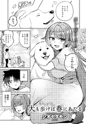 犬も歩けば春にあたる