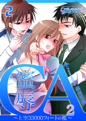 蜜辱ＣＡ～上空33000フィートの檻～（2）（2）