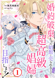 婚約破棄されて娼館に売られる(予定)なので、超高級娼婦を目指します!