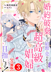 婚約破棄されて娼館に売られる（予定）なので、超高級娼婦を目指します！【合冊版】3