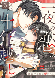 一夜の恋は十年越しに～待宵の花嫁は愛される～(5)